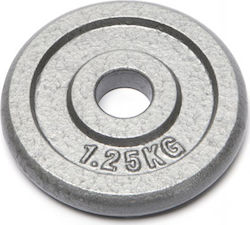 WP1.25 Set of Plates Metal 1 x 1.25kg Ø27mm