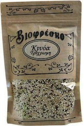 Biofresco Σπόροι Κινόα 200gr