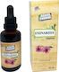 Paramedica Echinacea 50ml