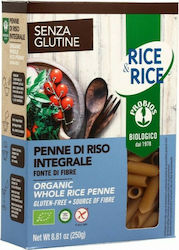 Probios Penne von Rice Vollkorn Bio Glutenfrei 250Übersetzung: "gr" 1Stück