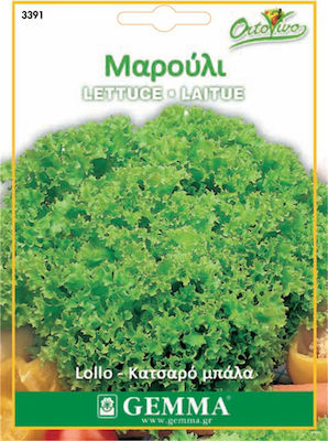 Gemma Seeds Lettuce 6.5gr/4550pcs