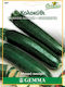 Gemma Seeds Pumpkinς Zucchini 5gr/40pcs