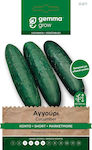 Gemma Seeds Cucumber 4gr/120pcs