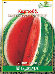 Gemma Samen Wassermelone 4gr