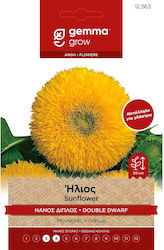 Gemma Seeds Sunflower 1gr/40pcs Yellow