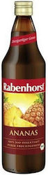 Rabenhorst Βιολογικός Χυμός Ανανά 750ml Rabenhorst Βιολογικός Χυμός Ανανά 750ml