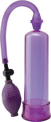Pipedream Pump Worx Beginner's Power