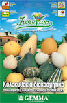 Gemma Seeds Pumpkinς Zucchini 2gr/30pcs