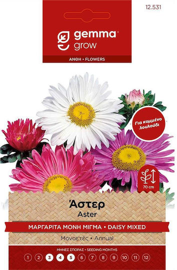 Gemma Semințe Aster Multicolor 1gr/420buc