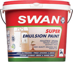 Swan Super Emulsion Plastic Acrilyc Paint for Interior Use White 10lt