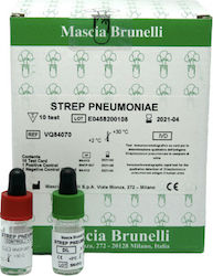 Mascia Brunelli 10pcs