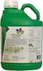 Microspore Vegetal b60 Organic Liquid Fertilizer Nitrogen, Amino acids, Copper for Tomato Plants 6kg