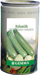 Gemma Seeds Pumpkinς Zucchini 500gr/3000pcs