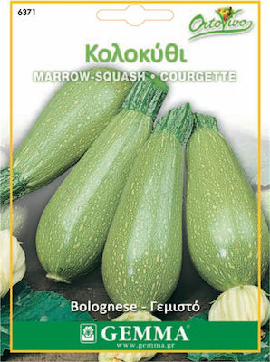 Gemma Seeds Pumpkinς Zucchini 5gr/30pcs