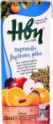 Ήβη Νέκταρ Μήλο Βερίκοκο 250ml