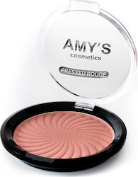 Amy's Cosmetics Compact Rouge Ρουζ 10gr Amy's Cosmetics Compact Rouge Ρουζ 10gr