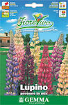 Gemma Seeds Lupin 1.8gr/72pcs Polychrome