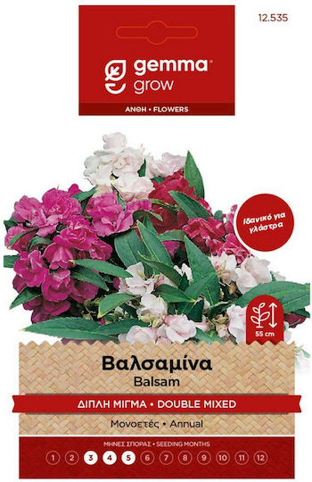 Gemma Samen Impatiens Mehrfarbig 0.5gr/55Stück