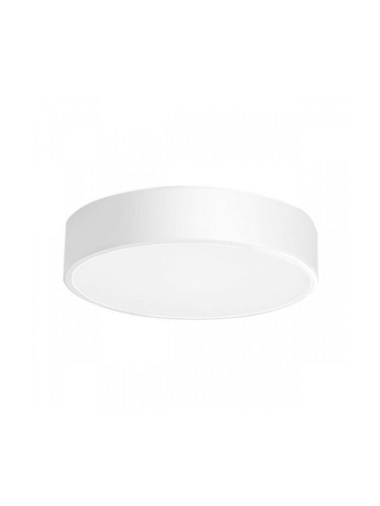 Spot Light Πλαφονιέρα 30εκ. LED