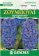 Gemma Bulbs Hyacinthus 2pcs Blue