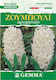 Gemma Bulbs Hyacinthus 2pcs White