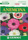 Gemma Bulbs Anemone 7pcs Polychrome