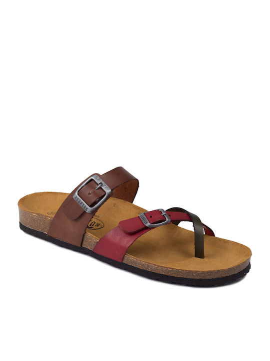 Plakton Anatomic Leather Women's Sandals Multicolour