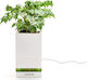 Allocacoc LeGrow TGP Self-watering Pot Plastic