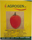 Agrogen Σπόροι Τομάτας 0.5gr