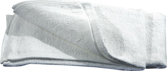 Car Smart Synthetic Cleaning Cloths for Car Body 43x35.5cm 2 Pieces