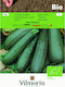 Vilmorin Seeds Pumpkinς Zucchini Organic Cultivation