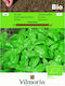 Vilmorin Seeds Basil Organic Cultivation