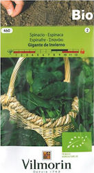 Vilmorin Semințe Spanac Cultivat organic