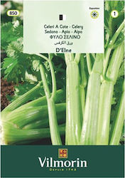 Vilmorin Seeds Celery