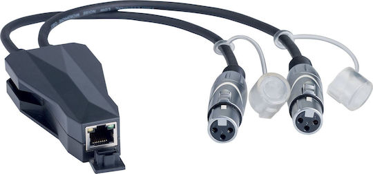 Audiophony CONVD2IN Μετατροπέας XLR 2x female σε RJ-45 female 1τμχ
