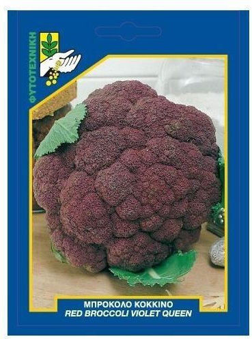 Geniki Fytotechniki Athinon Samen Brokkoli Brassica Oleracea