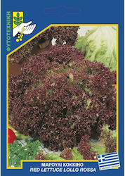 Γενική Φυτοτεχνική Αθηνών Seeds Lettuce