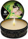 Shunga Massagekerze mit Duft Exotischer Grüner Tee 30ml