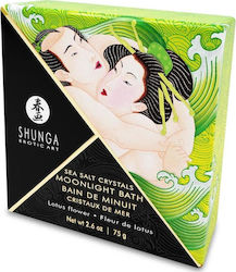 Shunga Sea Salt Crystals Moonlight Bath Bath Sa...