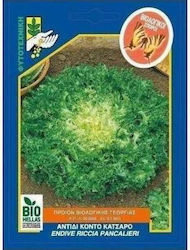 Γενική Φυτοτεχνική Αθηνών Seeds Endive (Cichorium) Organic Cultivation