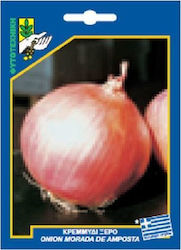 Γενική Φυτοτεχνική Αθηνών Bulb Onion