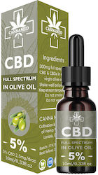 Cannamed CBD-Öl Mit 5% 10ml Cannamed CBD-Öl Mit 5% 10ml