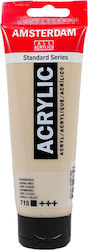 Royal Talens Amsterdam All Acrylics Standard Топъл Сив 718 Royal Talens Amsterdam All Acrylics Standard Топъл Сив 718