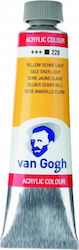 Royal Talens Van Gogh Acrylic Acrylic Paint Set...