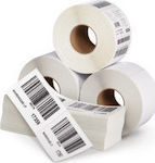 Transfer 2950 Self-Adhesive Labels for Label Printer 105x49mm