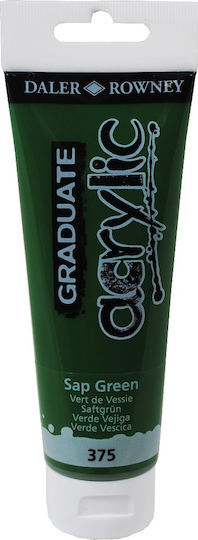 Daler Rowney Graduate Acrylic Acrylic Paint Set in Green color Sap Green 375 120ml 1pcs