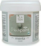 Blatem Chalk Paint Colour Chalk Miel 500ml