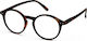 Izipizi D Reading Glasses +2.50 In Brown Colour
