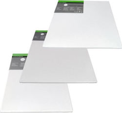 Daler Rowney Καμβάς Καρτολίνο Λευκός 20x30εκ. 1τμχ Daler Rowney Καμβάς Καρτολίνο Λευκός 20x30εκ. 1τμχ