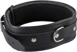 Zado Black Leather Collar Collar in Black Color